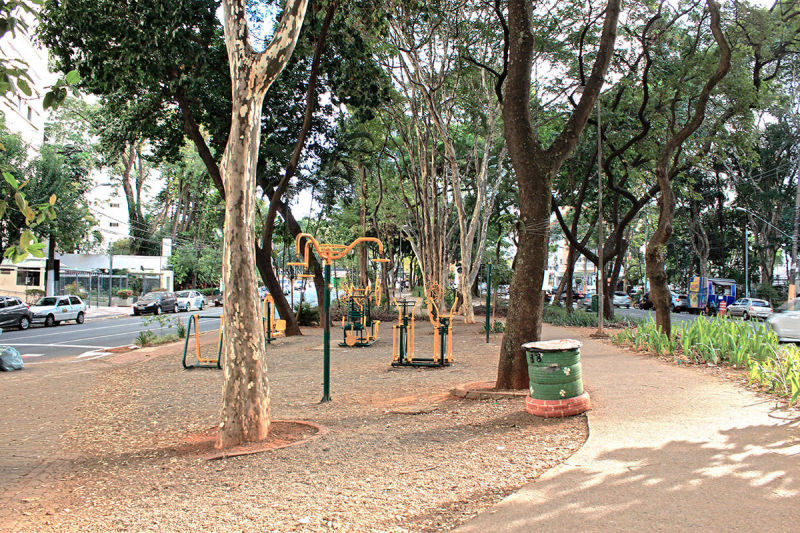 Av Braz Leme - Canteiro Central - Área para exercícios