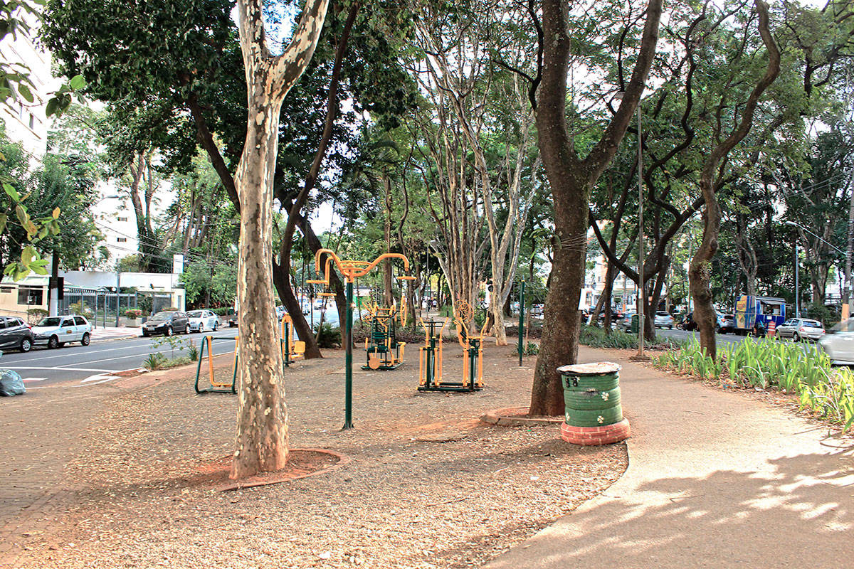 Av Braz Leme - Canteiro Central - Área para exercícios