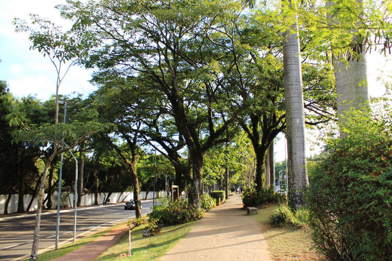 Av. Braz Leme - Canteiro central - Ciclovia