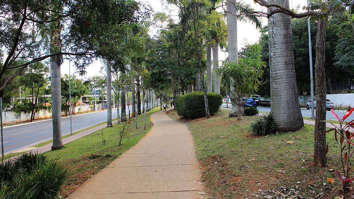 Av Braz Leme - Canteiro central