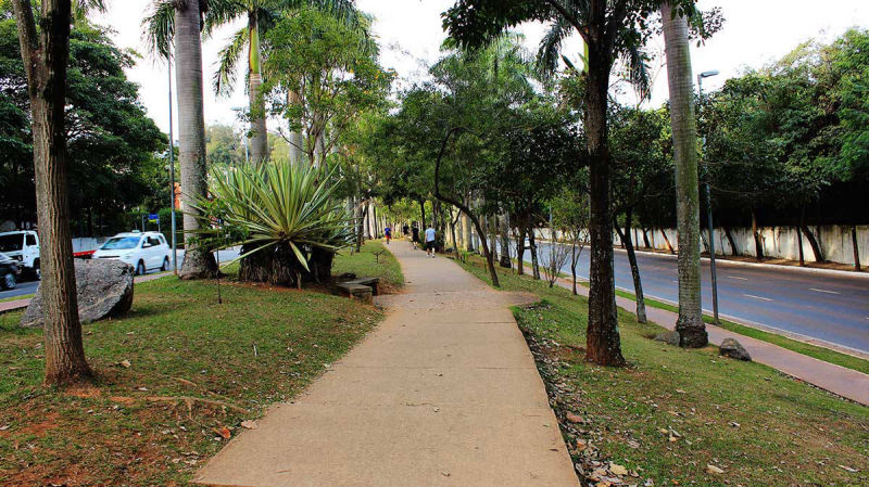 Av Braz Leme - Canteiro central