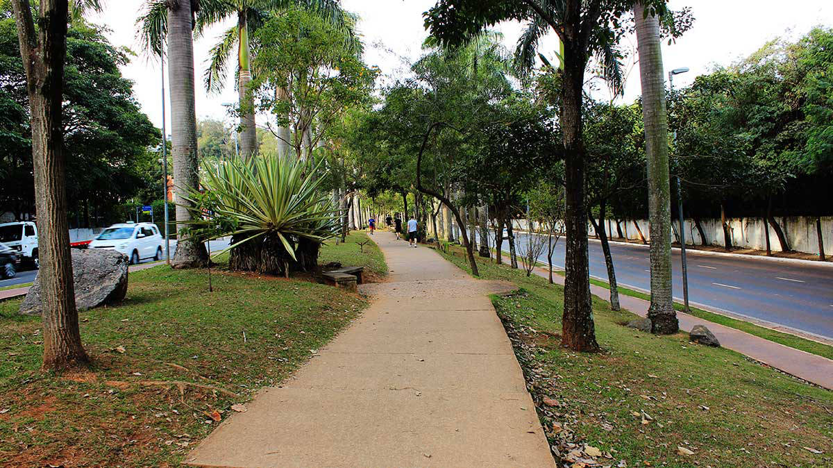 Av Braz Leme - Canteiro central