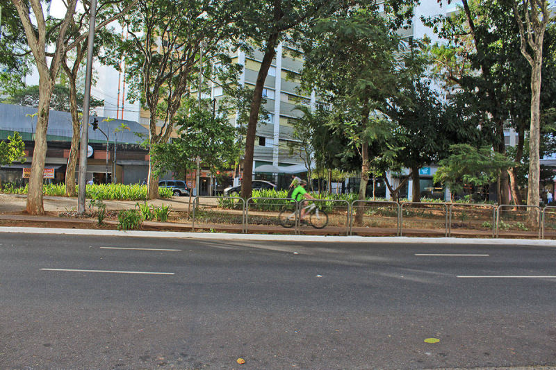Av Braz Leme - Canteiro Central e Ciclovia