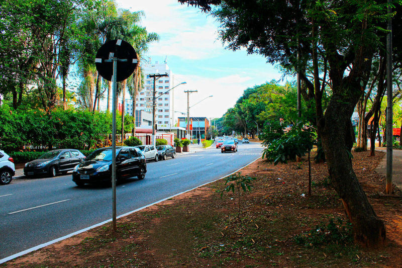 Av Braz Leme - Vista do canteiro central