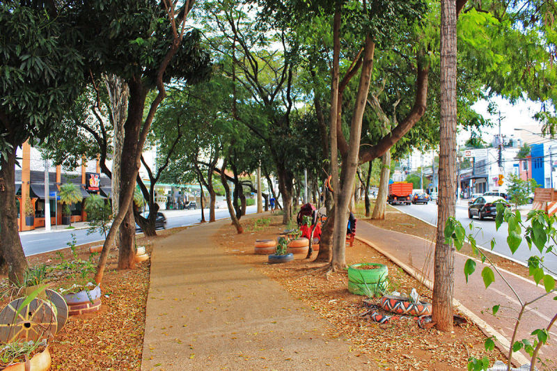 Av Braz Leme - Canteiro central