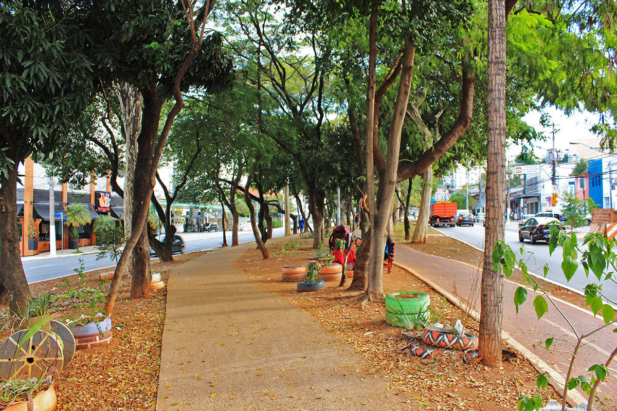 Av Braz Leme - Canteiro central