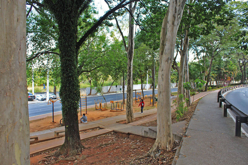 Av Braz Leme - Canteiro central